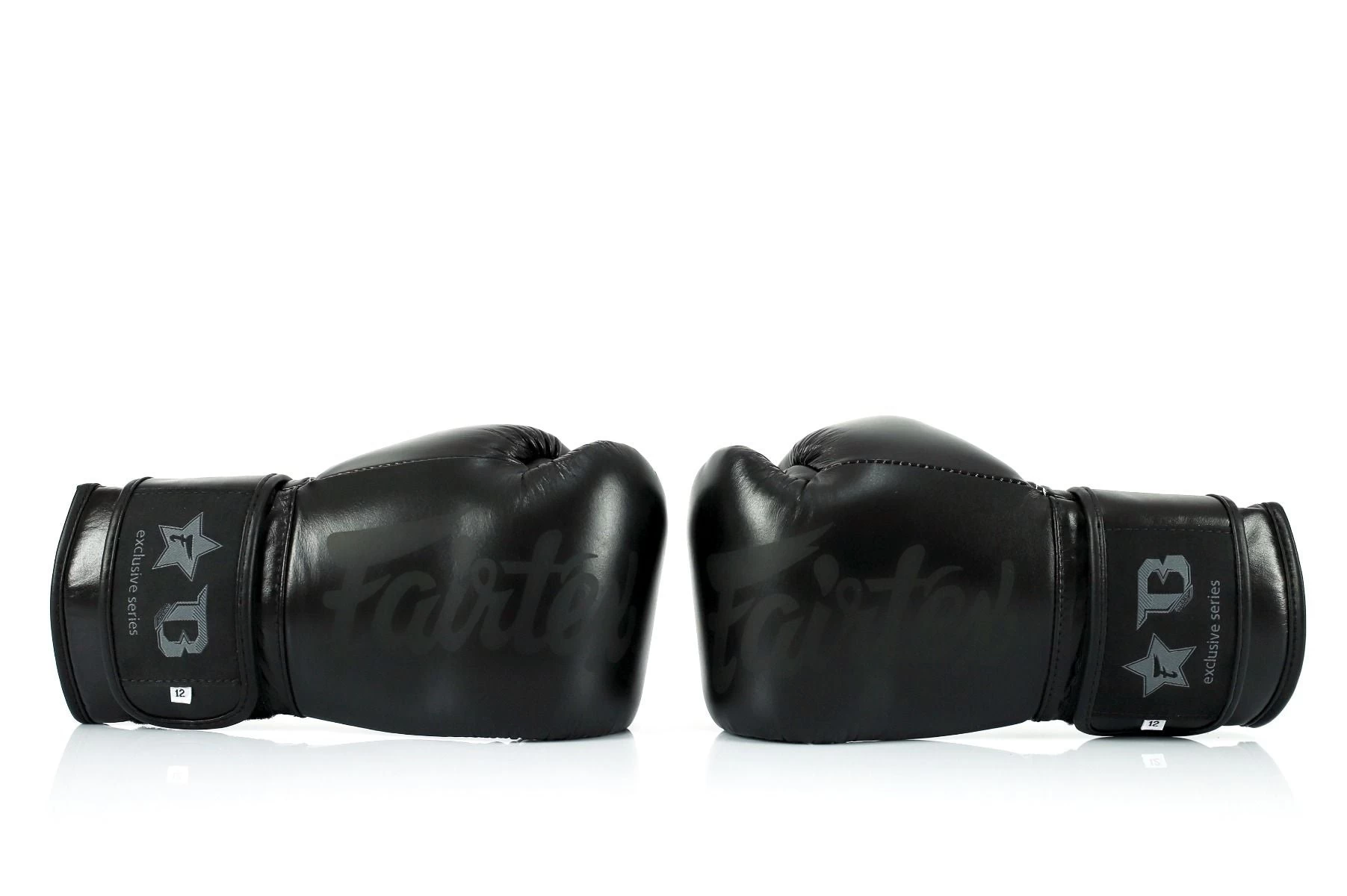 Fairtex Boxing Gloves Booster Series - Black - Image 4