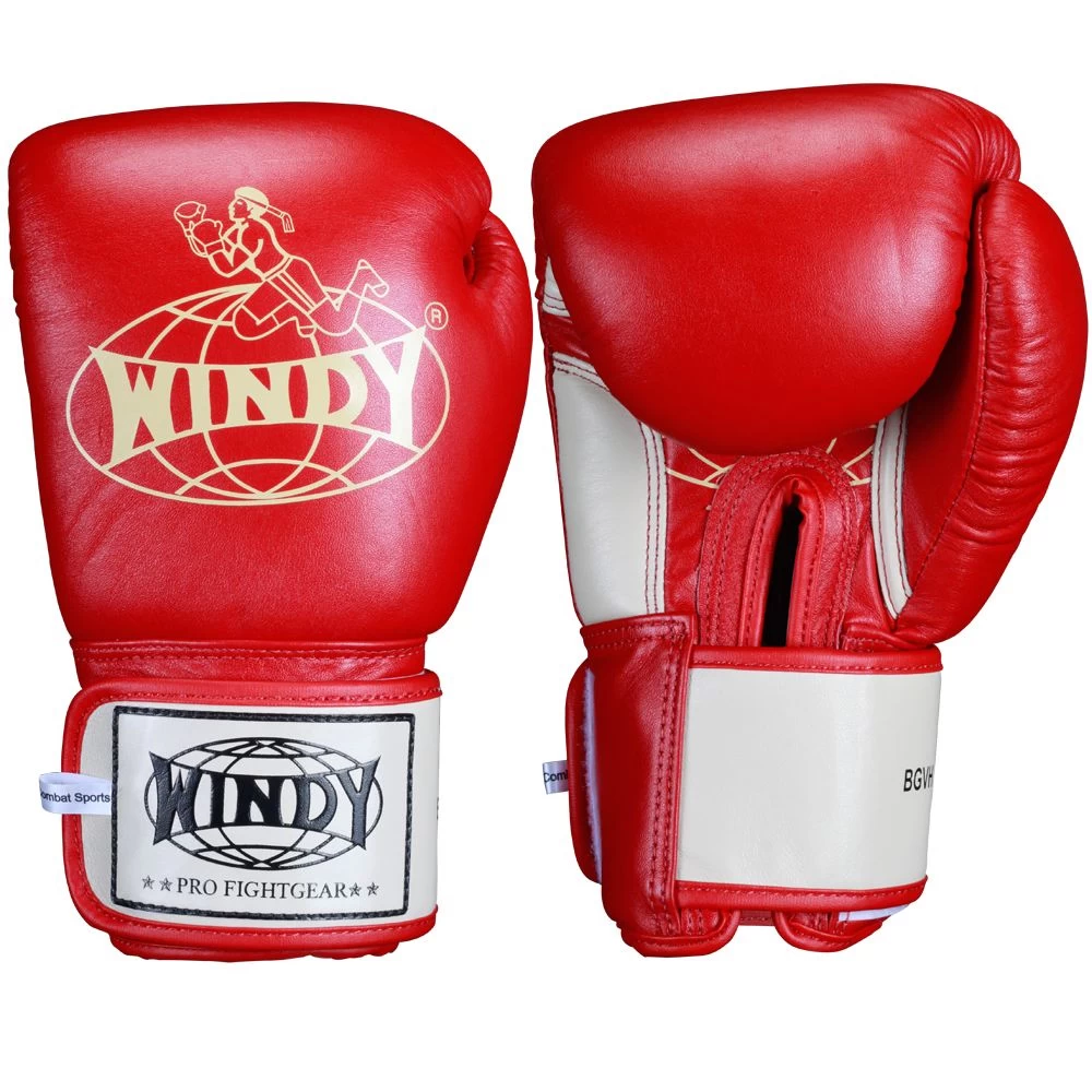 Windy Thai Training Gloves